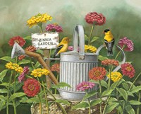 Zinnia Garden Fine Art Print