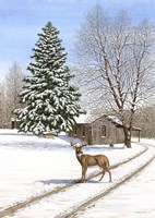 The Old Place Fine Art Print