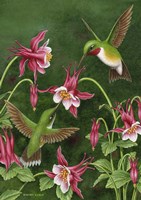 Date Night Fine Art Print