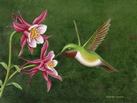 Gentleman's Choice Fine Art Print