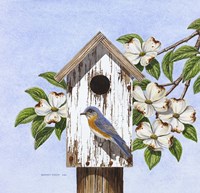 Box Watch Fine Art Print