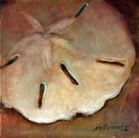 Sand Dollar Fine Art Print