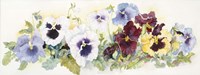 Pansies On Parade Fine Art Print