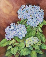 Blue Hydrangeas Fine Art Print