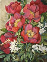 Red Peonies Fine Art Print