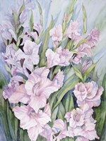 Gladiolus Fine Art Print