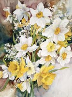Spring Daffodils by Joanne Porter - various sizes - $22.99