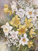 Jonquils Fine Art Print
