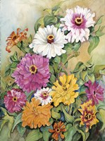 Variegated Zinnias Fine Art Print