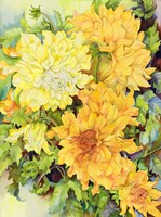 Golden Glow Fine Art Print