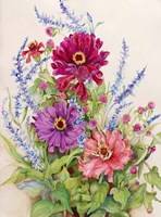 Zinnias and Blue Salvias Fine Art Print