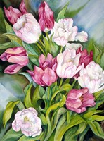 Light Pink And Dark Tulips Fine Art Print