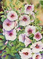 Red Centered Hollyhocks Fine Art Print