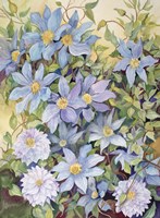 Blue Clematis Fine Art Print