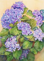 Easter Hydrangea Fine Art Print