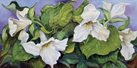 Woodland Trillium B Fine Art Print