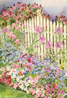 Picket Fence Fine Art Print