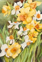 Early Spring Flowers Fine Art Print