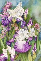 Iris Garden Fine Art Print