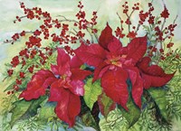 Red Poinsettia Fine Art Print