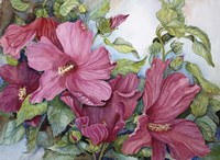 Tropical Heat Fine Art Print