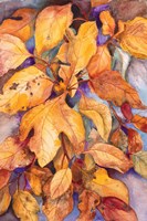 Sassafras Leaves Fine Art Print