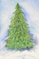 Evergreen Tree by Joanne Porter - various sizes