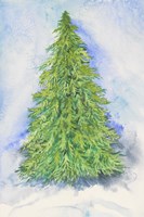 Evergreen Tree Fine Art Print
