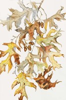 Rust Colored Oak Leaves Fine Art Print