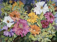 Multi-Colored Zinnias Fine Art Print