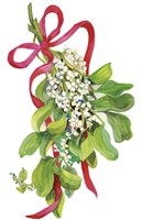 Mistletoe With Red Ribbon Fine Art Print