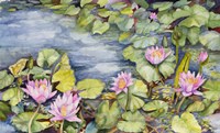 Lily Pond Fine Art Print
