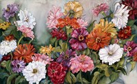 Zinnias Fine Art Print