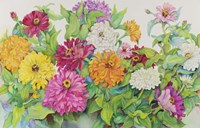 Festive Zinnias Fine Art Print