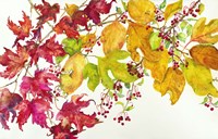 Fall Color Fine Art Print
