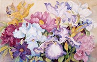 Spring's Rainbow Fine Art Print