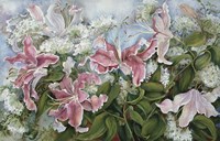 Pink Star Gazer Lilies Fine Art Print