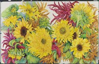 Sunflowers And Amaranth Fine Art Print