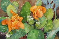 Blossoming Cactus Fine Art Print