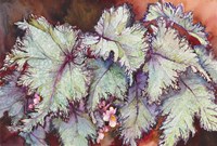 Begonia Leaves Fine Art Print