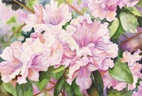 Sun Lit Azalea Fine Art Print