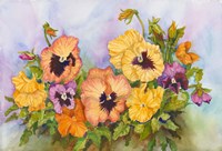 Pansies in a Blue Sky Fine Art Print