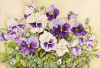 White and Purple Pansies Fine Art Print