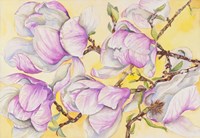 Tulip Tree Fine Art Print