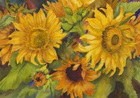 Sunny Faces Fine Art Print