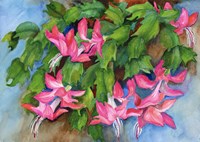 Christmas Cactus Fine Art Print