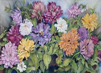 Zinnia 3 Fine Art Print