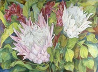 Protea And Red Ginger Fine Art Print