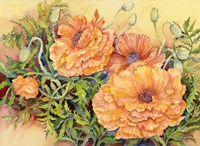 Double Poppies Fine Art Print