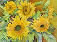 Sun Dance Fine Art Print